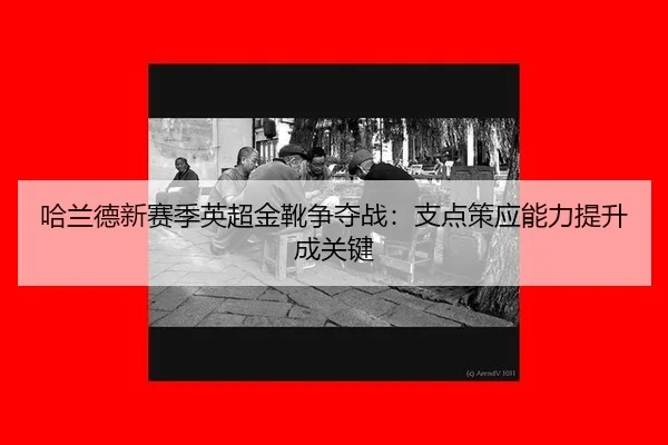 ha-lan-de-xin-sai-ji-ying-chao-jin-xue-zheng-duo-zhan-zhi-dian-ce-ying-neng-li-ti-sheng-cheng-guan-jian-2-417.jpg
