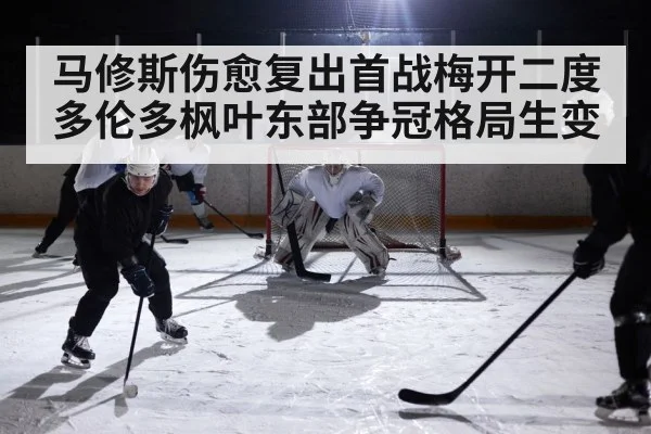 ice hockey rink action