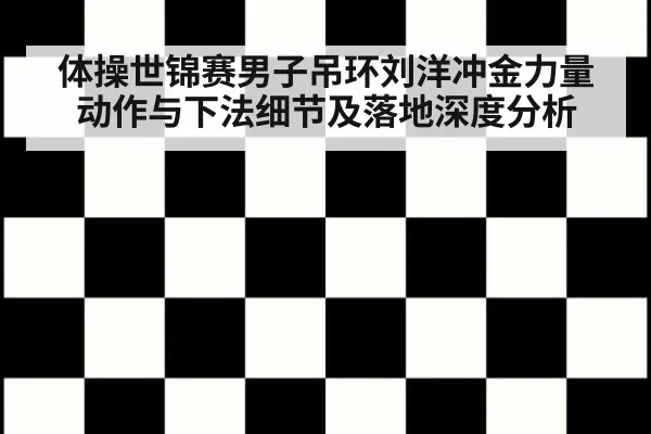 体操世锦赛男子吊环刘洋冲金力量动作与下法细节及落地深度分析